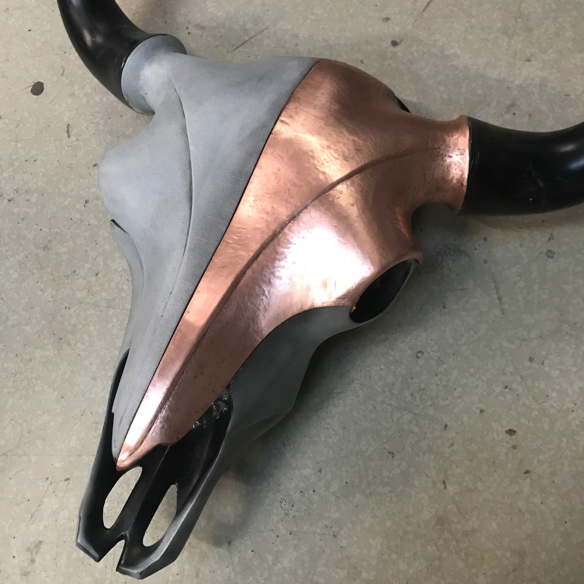Angle showing the shaped horn base and forehead seam.