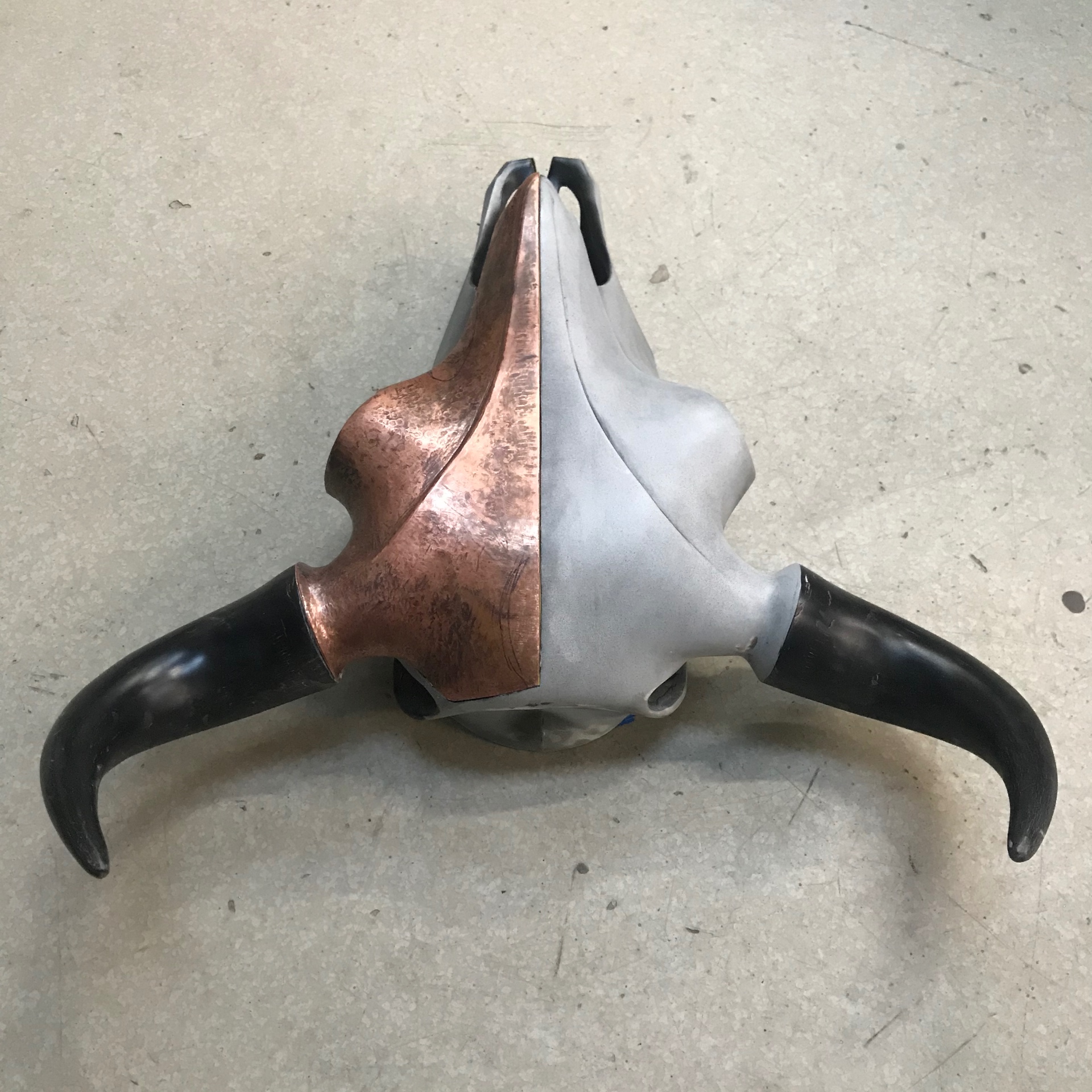 Top-down — the ridge seam runs the length of the skull.